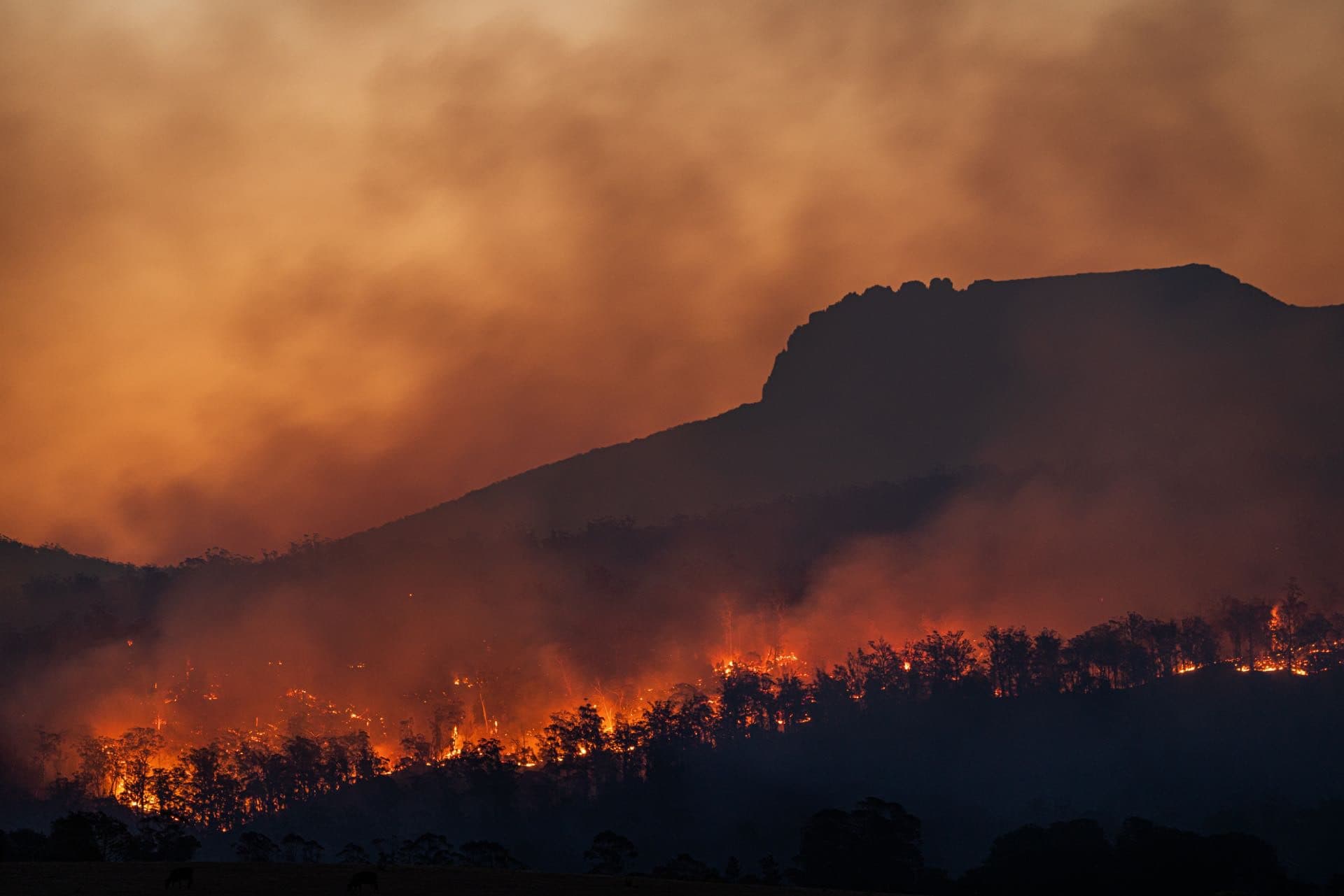 Why Future Hotels Exists: The Climate Crisis Is Real