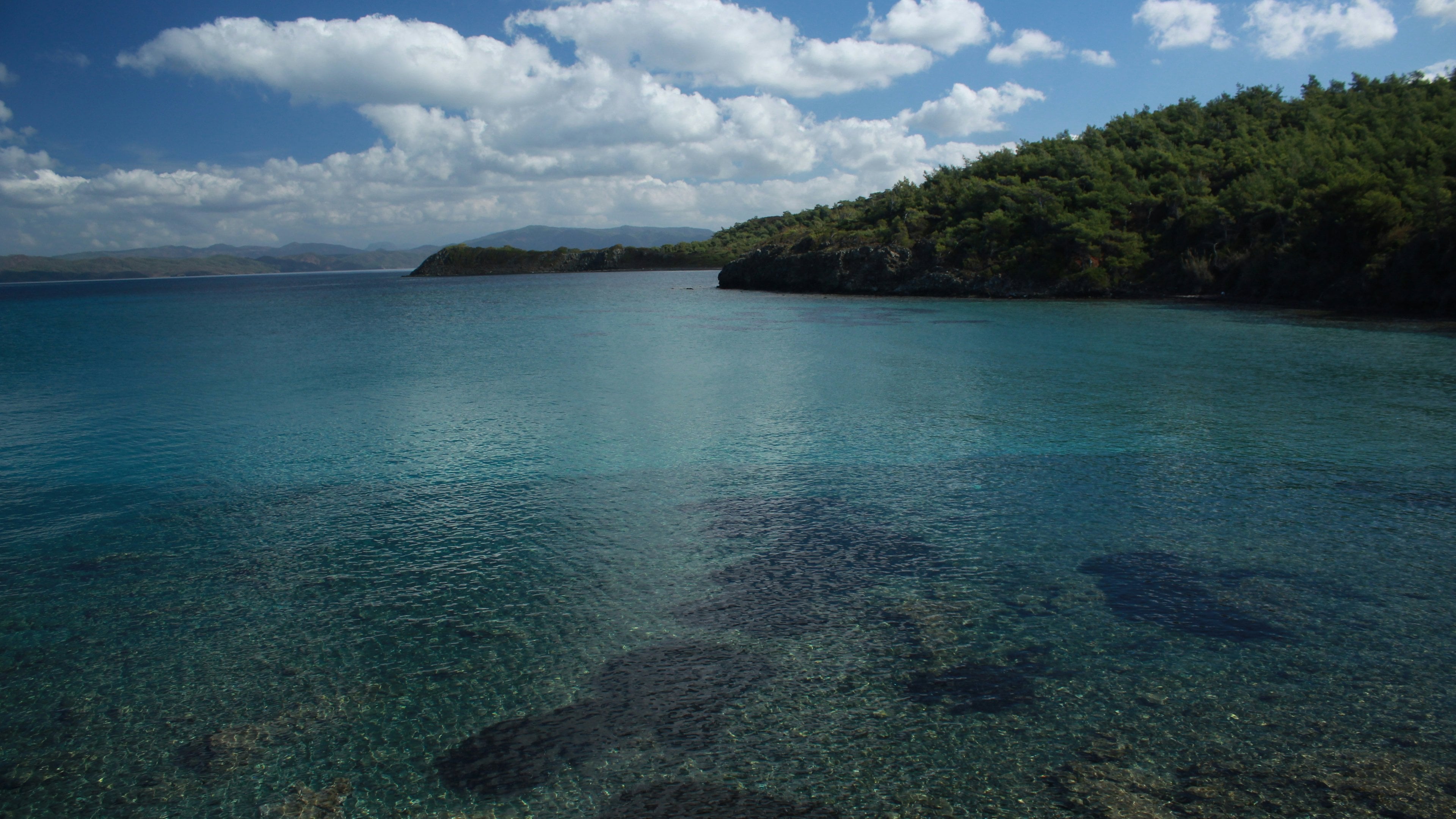 A calm bay and a forested headland under summer clouds